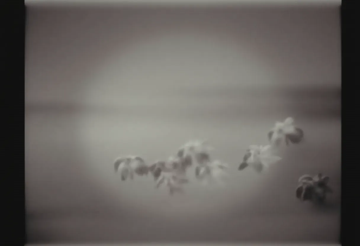 Idées pour réduire l'écho dans une pièce vide